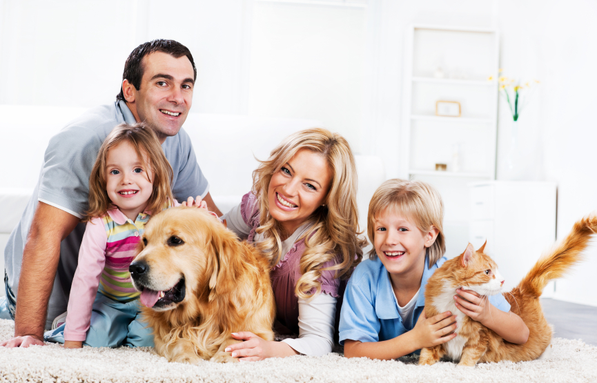 Pet Friendly carpet Cleaning