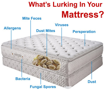 mattress cleaning services