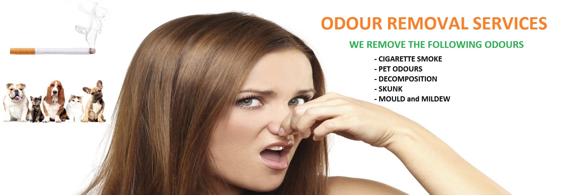 odour removal services ottawa